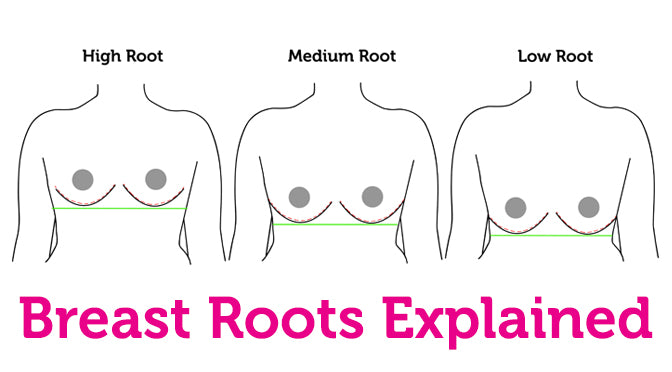 Breast Roots - The Low-down – Curvy Kate UK