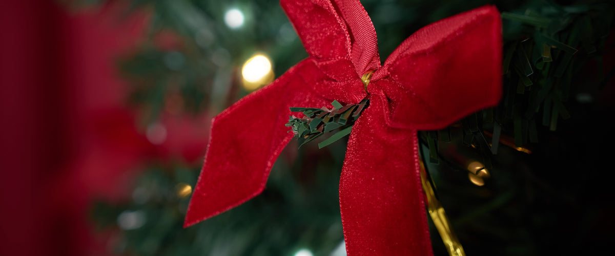 The ultimate Curvy Kate Stocking filler guide