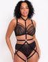 Scantilly Rules of Distraction Harness Black