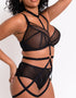 Scantilly Rules of Distraction Harness Black