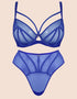 Scantilly Senses Plunge Bra Ultraviolet